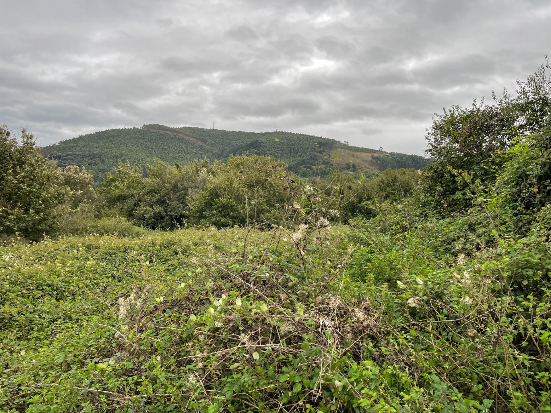 Terreno urbanizável