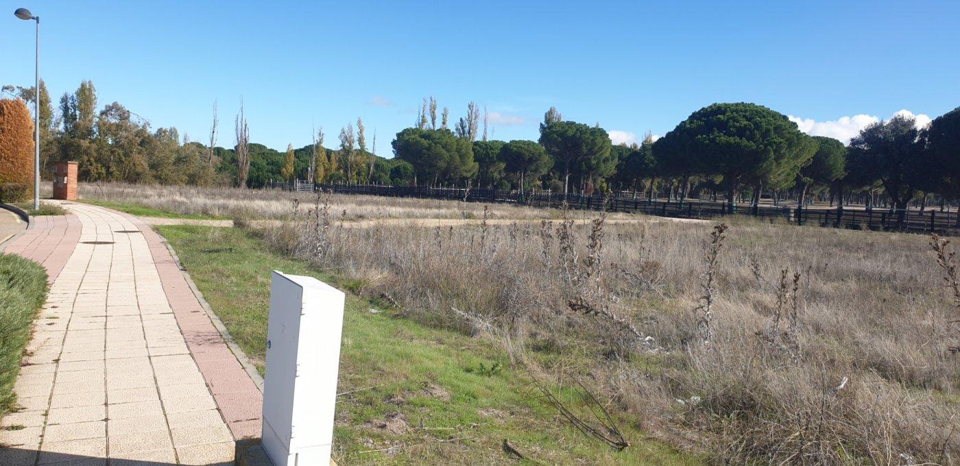Terreno urbano
